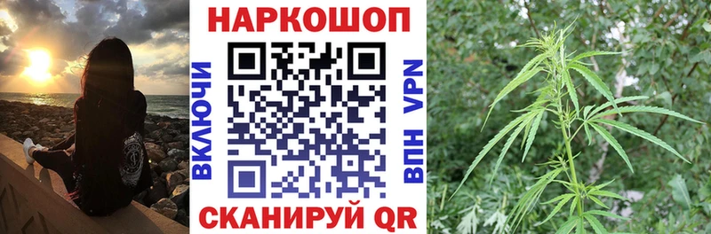Как найти закладки Славгород Бутират  Амфетамин  А ПВП  Меф  Кокаин  Каннабис 