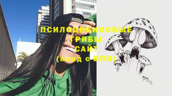 стаф Баксан