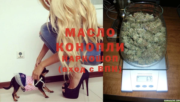сатива Балахна