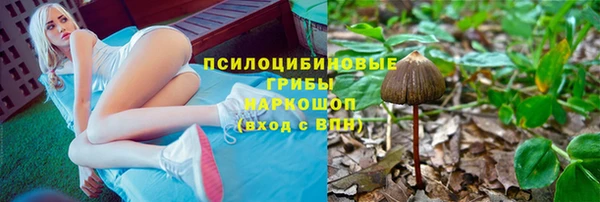гашик Балабаново