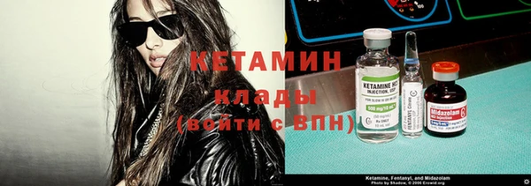сатива Балахна