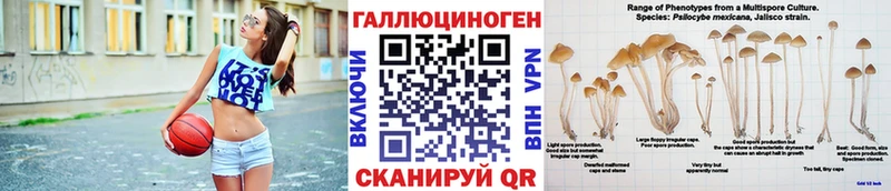 где купить наркотик  Славгород  Псилоцибиновые грибы прущие грибы 